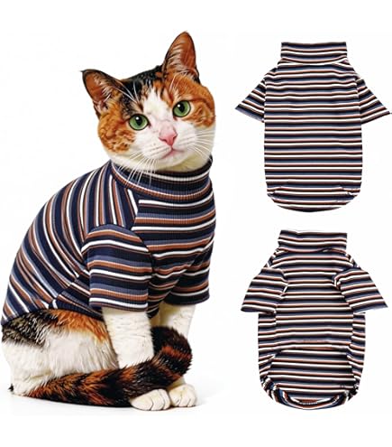Amazon.co.jp: なめ猫 レトロ なめんなよ猫 下敷き 紫 ！ : ペット用品